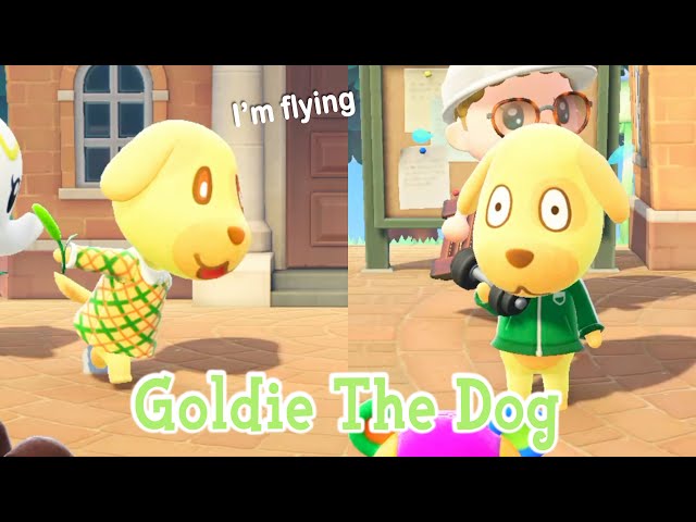 Animal Crossing: New Horizons Goldie Villager Guide