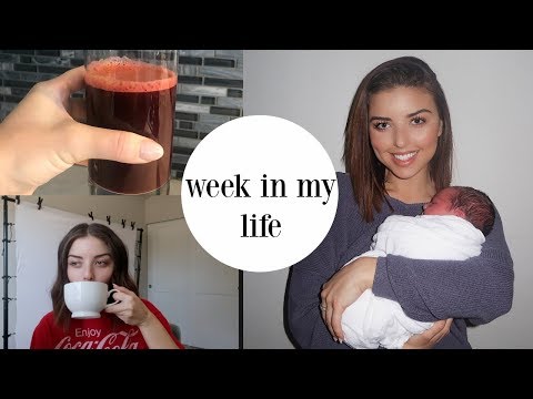 WEEK IN MY LIFE | New family member, Jesus talk + More! - UCvIwi6KCreq5bR1S7e6umdQ