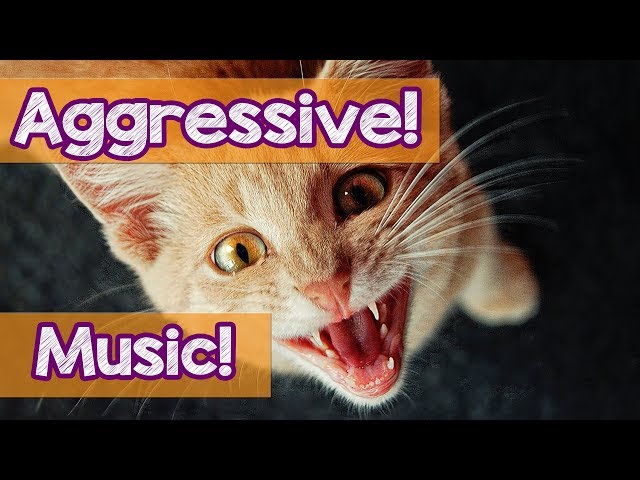 How Jazz Music Can Stop Your Cat from Scratching