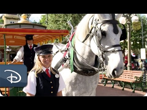 The Horses of the Circle D Ranch | Duke Prepares for Disneyland Debut Part Three - UC1xwwLwm6WSMbUn_Tp597hQ