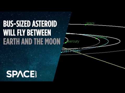 Bus-Sized Asteroid to Fly Between Earth and Moon - UCVTomc35agH1SM6kCKzwW_g