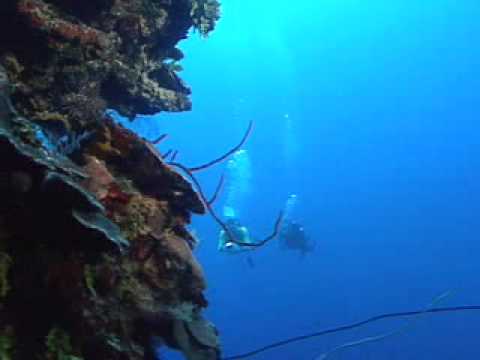  PADI Deep Diver Specialty Course 