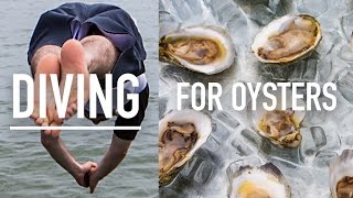 Virginia - DIVING FOR OYSTERS WITH THOR! #LostandHungry