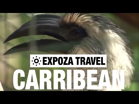 The Caribbean Vacation Travel Video Guide - UC3o_gaqvLoPSRVMc2GmkDrg