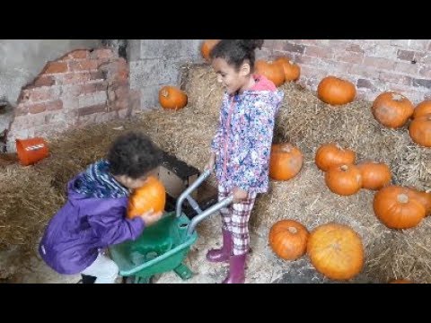 Halloween Pumpkin Farm - UCeaG5HcexylrNi9v9FxE47g