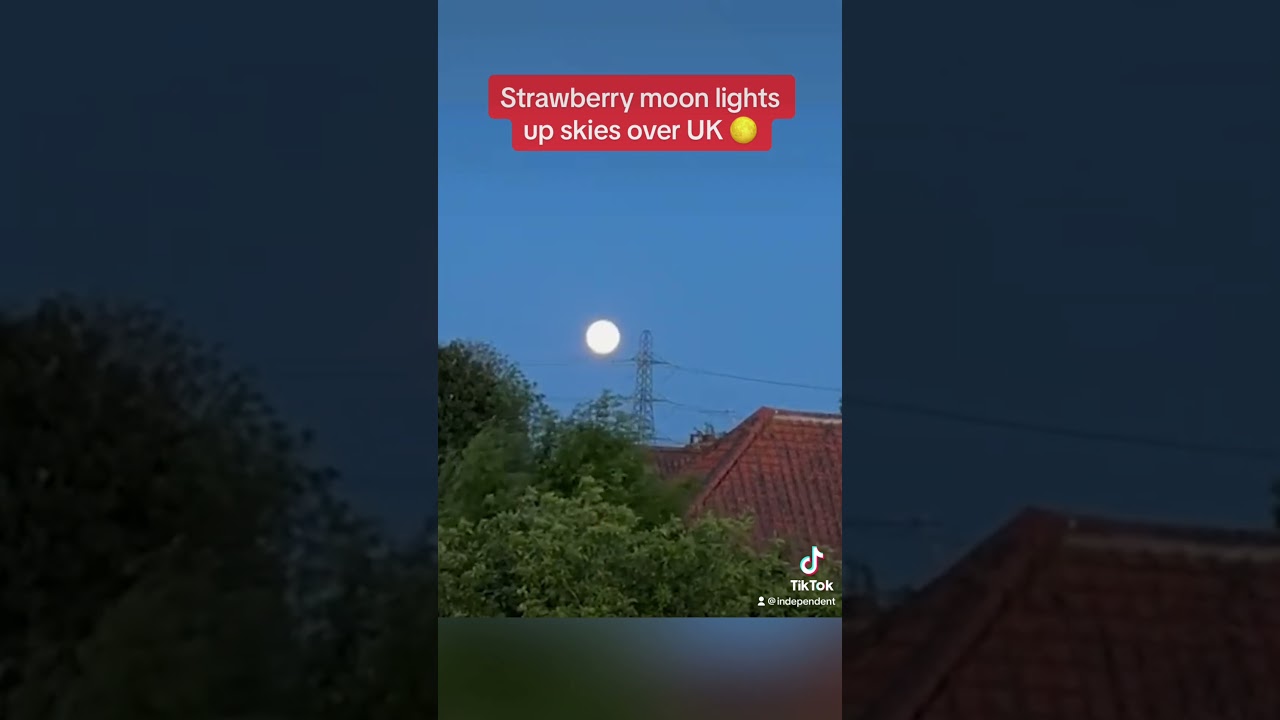 Strawberry moon lights up skies over UK #shorts