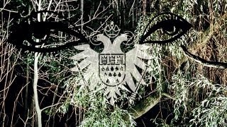 Thomas Fehlmann - Eye (Official Video) 'Eye/Tree' EP