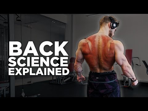 The Most Scientific Way to Train Your BACK In 2018  | Training Science Explained - UC68TLK0mAEzUyHx5x5k-S1Q