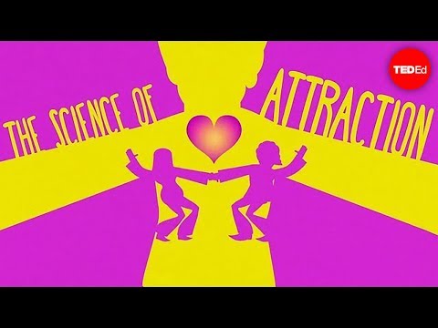 The science of attraction - Dawn Maslar - UCsooa4yRKGN_zEE8iknghZA