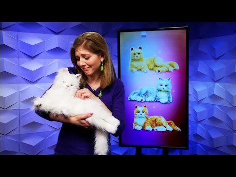 CNET Update - Get over your ex with Facebook, Adele and robot cats - UCOmcA3f_RrH6b9NmcNa4tdg