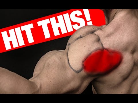 Rear Deltoid Workout (MASS AND STRENGTH!) - UCe0TLA0EsQbE-MjuHXevj2A