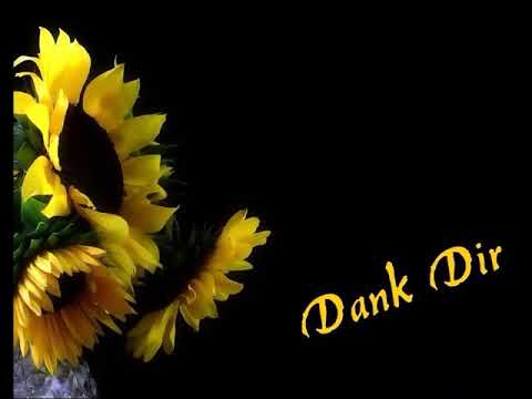 Sarah Connor - Dank Dir