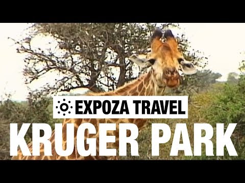 Kruger Park (South Africa) Vacation Travel Video Guide - UC3o_gaqvLoPSRVMc2GmkDrg