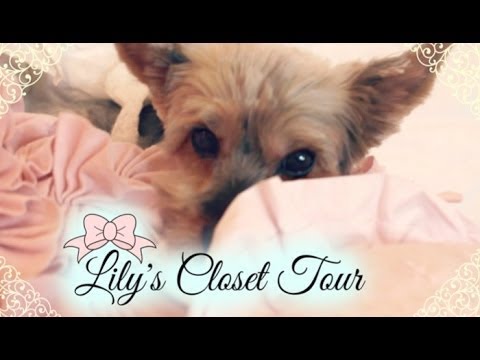 Lily's Closet Tour ♡ - UCuVHOs0H5hvAHGr8O4yIBNQ