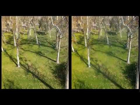 GoPro 3D FPV Quadcopter - CC3D Bette Park & tree attack - UC8SRb1OrmX2xhb6eEBASHjg