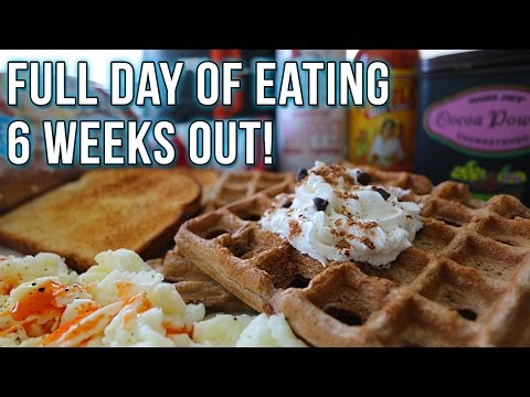 Meals w/ Matty - Full Day of Eating on Contest Prep Ep.9 - UCHZ8lkKBNf3lKxpSIVUcmsg