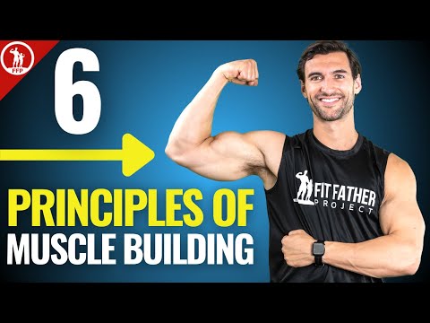 6 Principles of Muscle Building - In-Depth Guide For Real Results - UCKvJ_vxZZoN5yeWBU2CVGcQ