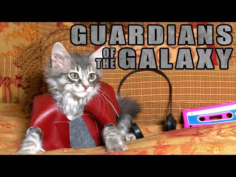 Guardians of the Galaxy (Cute Kitten Version) - UCPIvT-zcQl2H0vabdXJGcpg