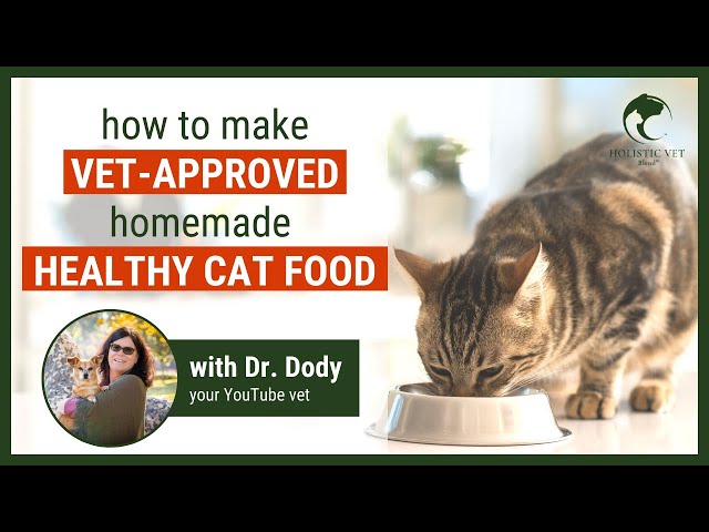 How To Make Healthy Cat Food At Home