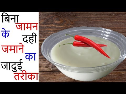 बिना जामन के दही जमाने का जादुई तरीका - How to Make Curd Without Curd - Make Curd Without the Jaman - UCk0haN5glRl_kmmsxFxYeAg