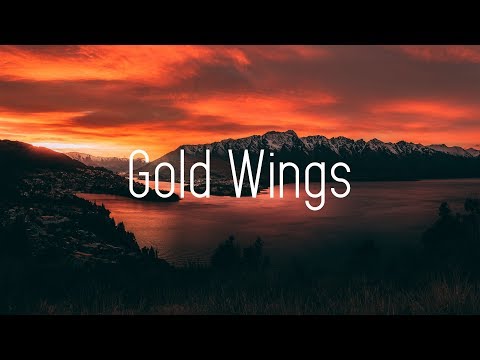 Shaun Frank & Krewella - Gold Wings (Lyrics) tofû remix - UCwIgPuUJXuf2nY-nKsEvLOg