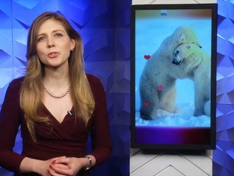 CNET Update - Google gets romantic with photos, fireplaces - UCOmcA3f_RrH6b9NmcNa4tdg