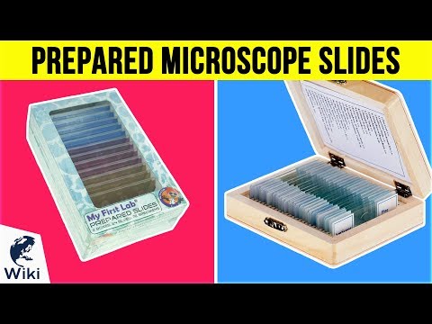 10 Best Prepared Microscope Slides 2019 - UCXAHpX2xDhmjqtA-ANgsGmw