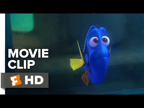 Finding Dory Movie CLIP - Short Term Memory Loss (2016) - Ellen DeGeneres, Ed O'Neill Movie HD - UCkR0GY0ue02aMyM-oxwgg9g