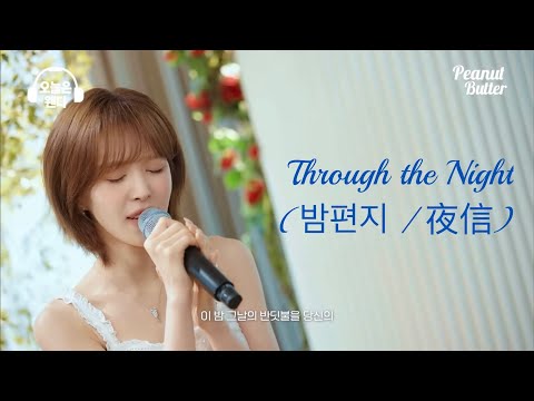 Wendy(Red Velvet) - Through the Night (밤편지 / 夜信) Cover