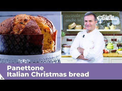 PANETTONE (Italian Christmas bread: traditional recipe)