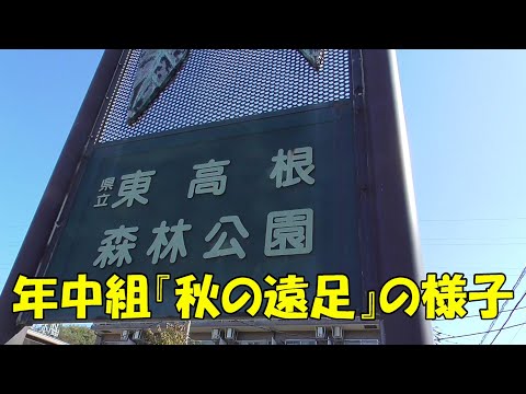 年中組 秋の遠足『東高根森林公園』の様子