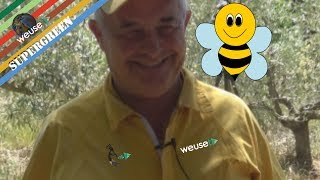 1 of 10 - Basi di apicoltura con Fernando - Introduzione al mondo delle api per futuri apicoltori