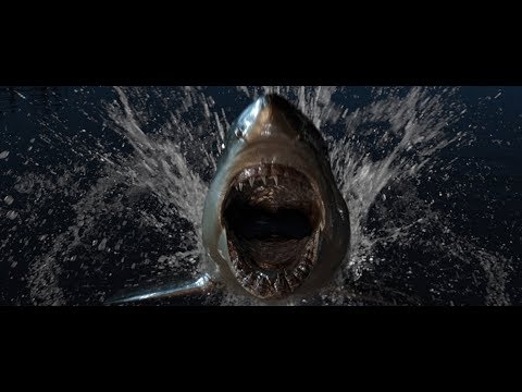 187 Strassenbande - HaifischNikez Allstars (Official Video)