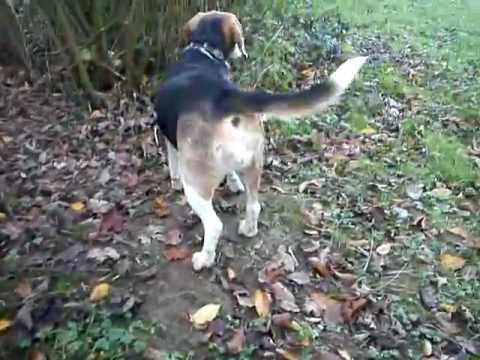 21.11.11 Fünf Freunde am Morgen :-)