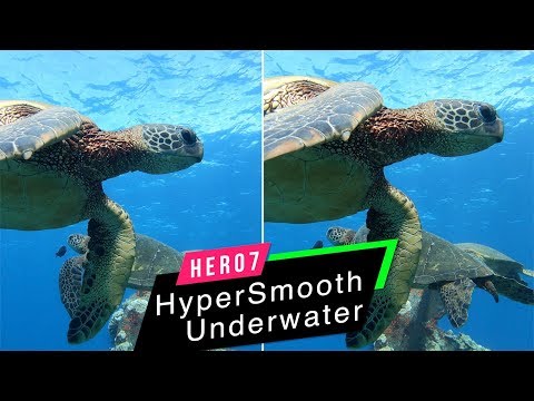 GoPro Hero7 Black: HyperSmooth Underwater Comparison! - GoPro Tip #631 | MicBergsma