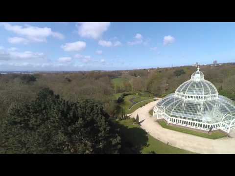 Spring Morning FPV enjoyment :) - UCtpl0iFEzsrT9BW4ig-WBQA
