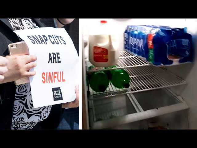 What Percent Of America Uses Food Stamps 