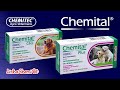 Vermifugo Chemital para Cães C/4 Comprimido 660 mg