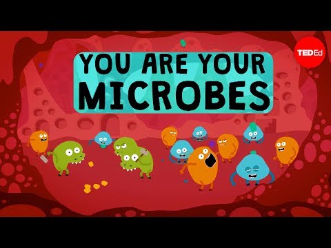 You are your microbes - Jessica Green and Karen Guillemin - UCsooa4yRKGN_zEE8iknghZA