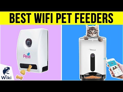 9 Best WiFi Pet Feeders 2019 - UCXAHpX2xDhmjqtA-ANgsGmw