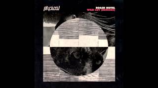 Roach Motel - Wild Luv (John Acquaviva & Olivier Giacomotto Remix)