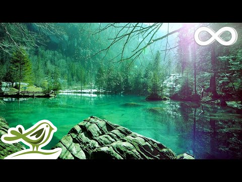 Relaxing Sleep Music: Deep Sleeping Music, Relaxing Music, Stress Relief, Meditation Music ★68 - UCjzHeG1KWoonmf9d5KBvSiw