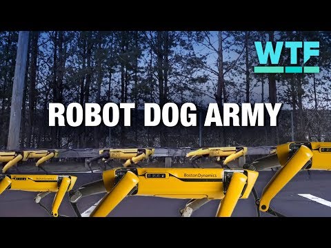 Boston Dynamics' four-legged Spot robots hot off the production line! | What the Future - UCOmcA3f_RrH6b9NmcNa4tdg