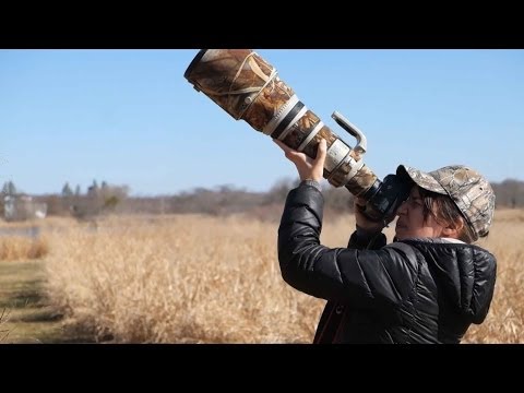 Tamron 150-600 f/5-f/6.3 Review: The ultimate wildlife lens for $1,000? - UCDkJEEIifDzR_2K2p9tnwYQ