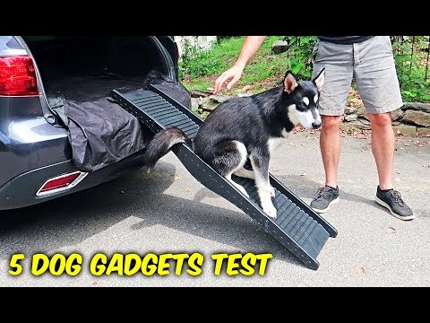 5 Dog Gadgets Put to the Test - Part 7 - UCe_vXdMrHHseZ_esYUskSBw