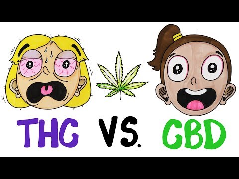 THC vs CBD: What's In Your Weed? - UCC552Sd-3nyi_tk2BudLUzA