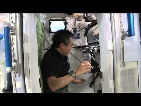 Space Station Bedroom Is 'Telephone Booth Tiny' | Video - UCVTomc35agH1SM6kCKzwW_g