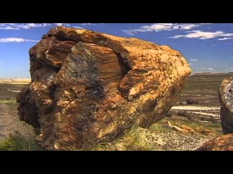 Petrified Forest Vacation Travel Video Guide - UC3o_gaqvLoPSRVMc2GmkDrg