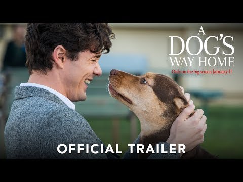 A DOG'S WAY HOME - Official Trailer (HD) - UCz97F7dMxBNOfGYu3rx8aCw