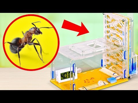 How to Build an ANT FARM AT HOME - UCw5VDXH8up3pKUppIvcstNQ